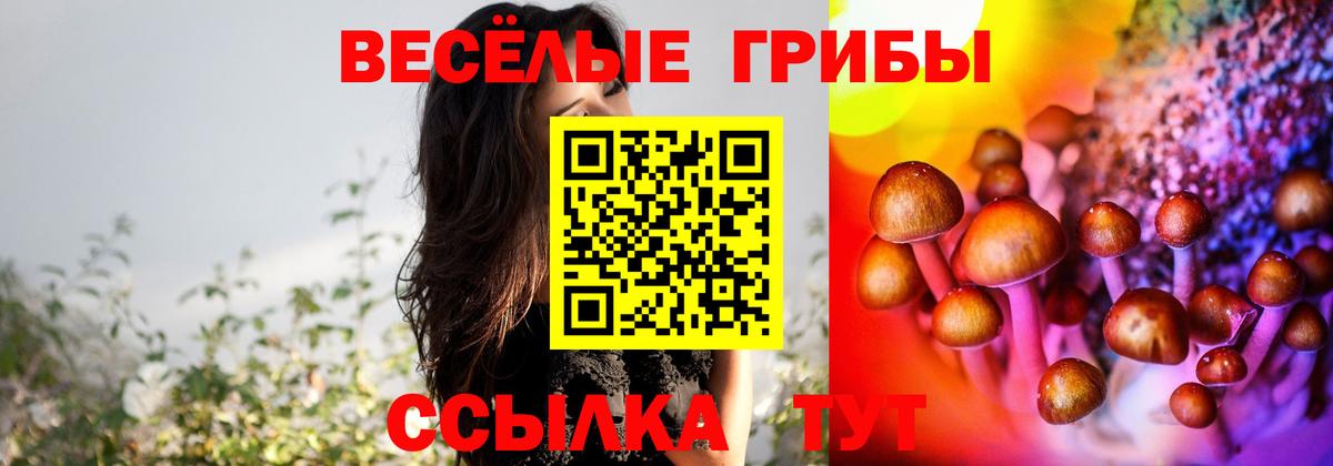 купить закладку  Псилоцибиновые грибы Cubensis  Вход с VPN  Когалым 